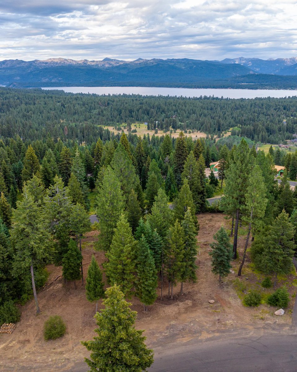 Whitetail Club Realty, LLC tweet media