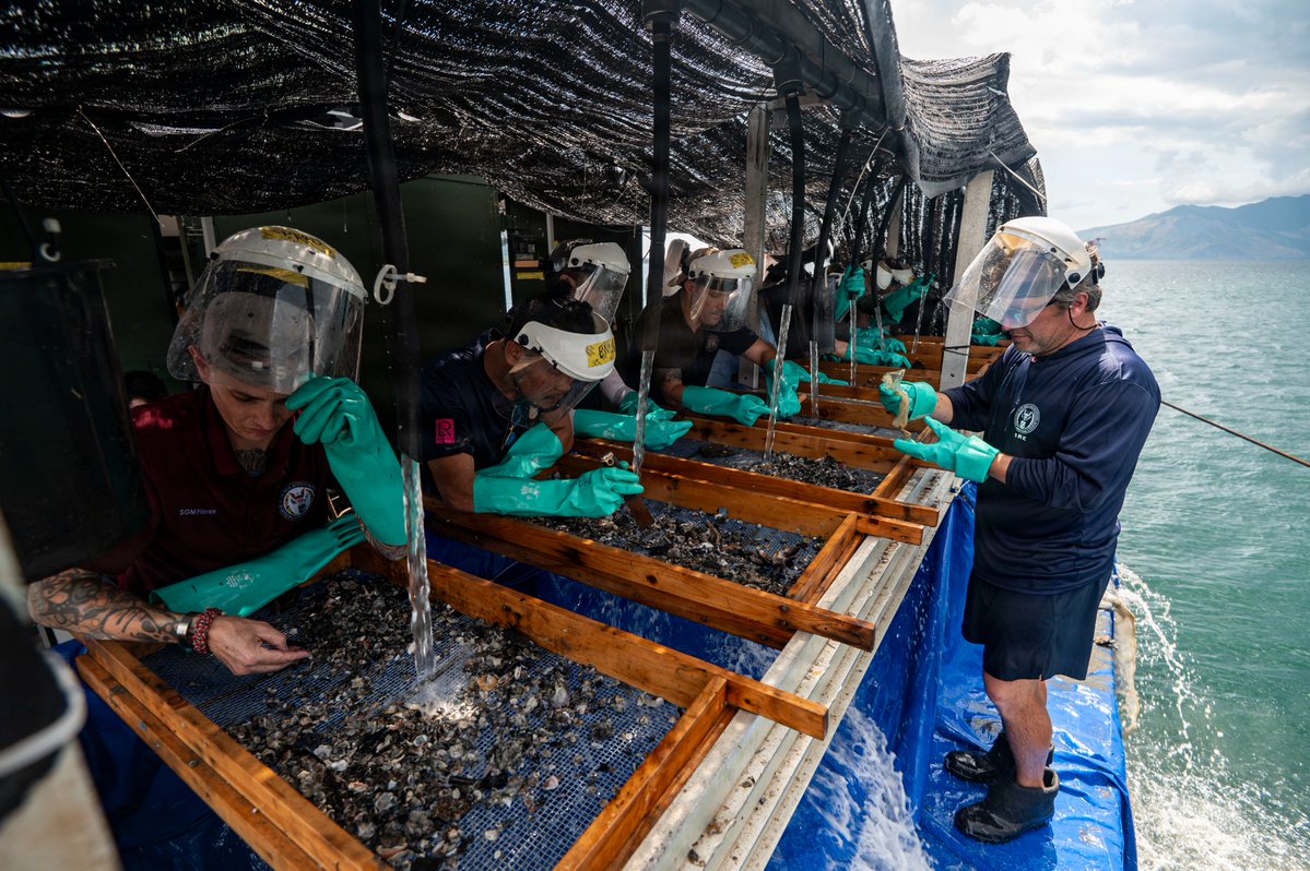 Defense POW/MIA Accounting Agency (DPAA) tweet media