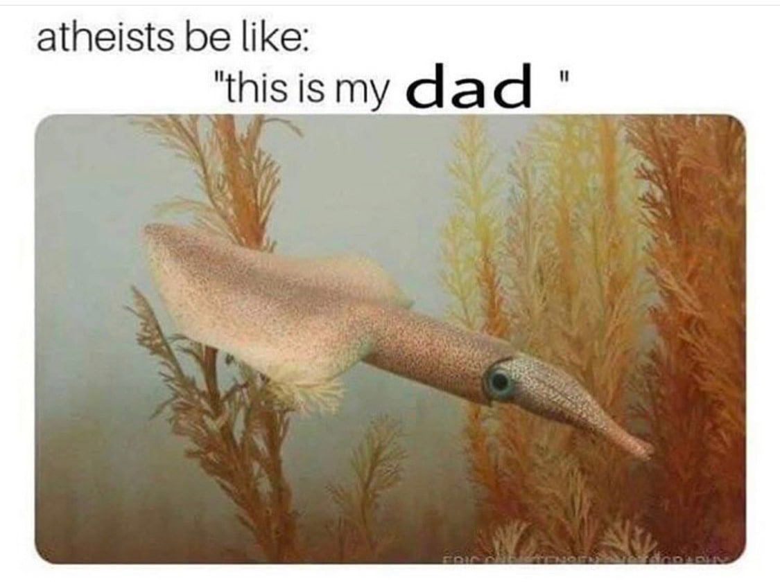 Giga Based Dad tweet media