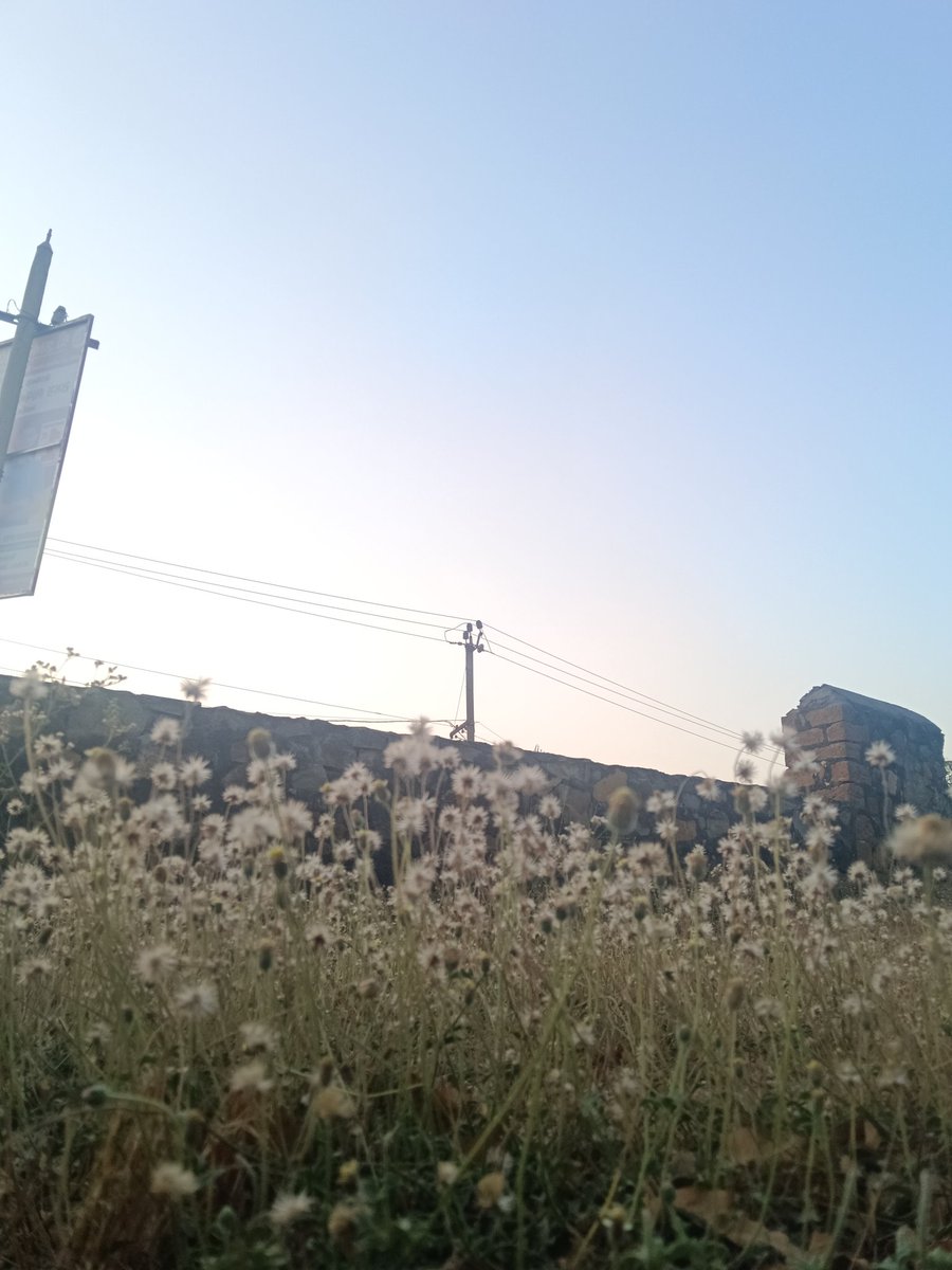 ruqquu __1311 tweet media