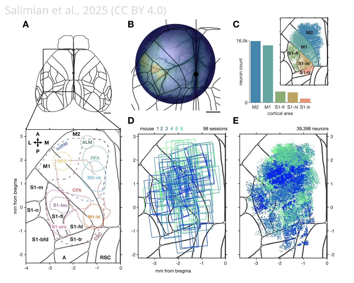 eLife - the journal tweet media