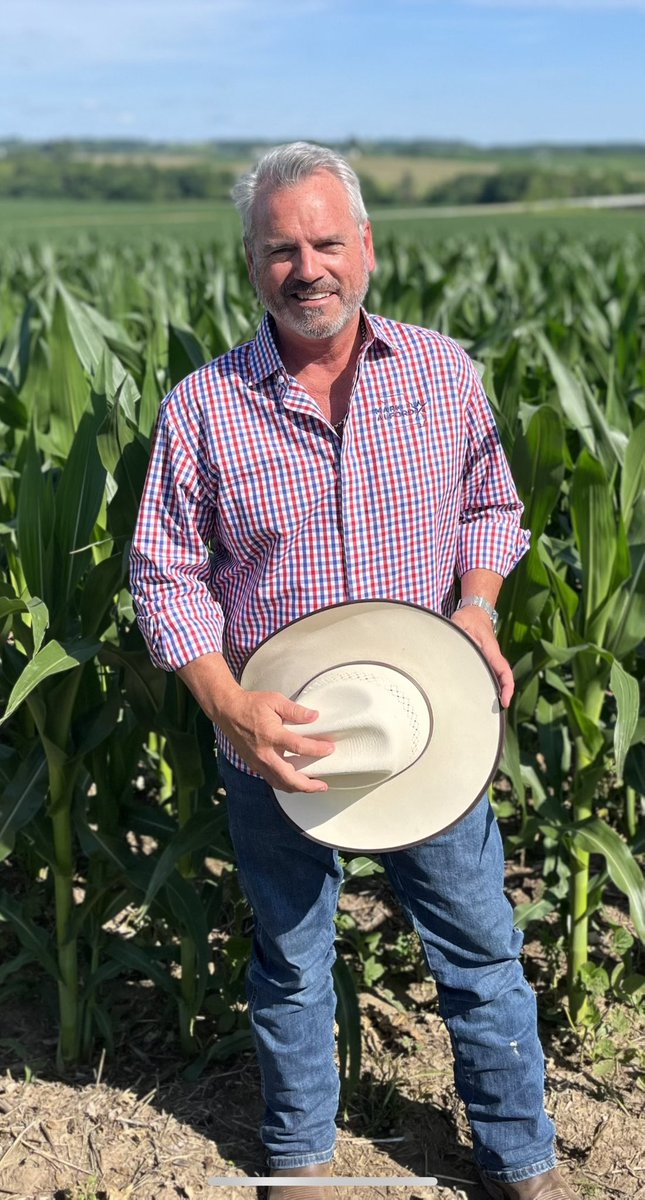 Mark Alford 🇺🇸🇺🇸🇺🇸🇺🇸 tweet media