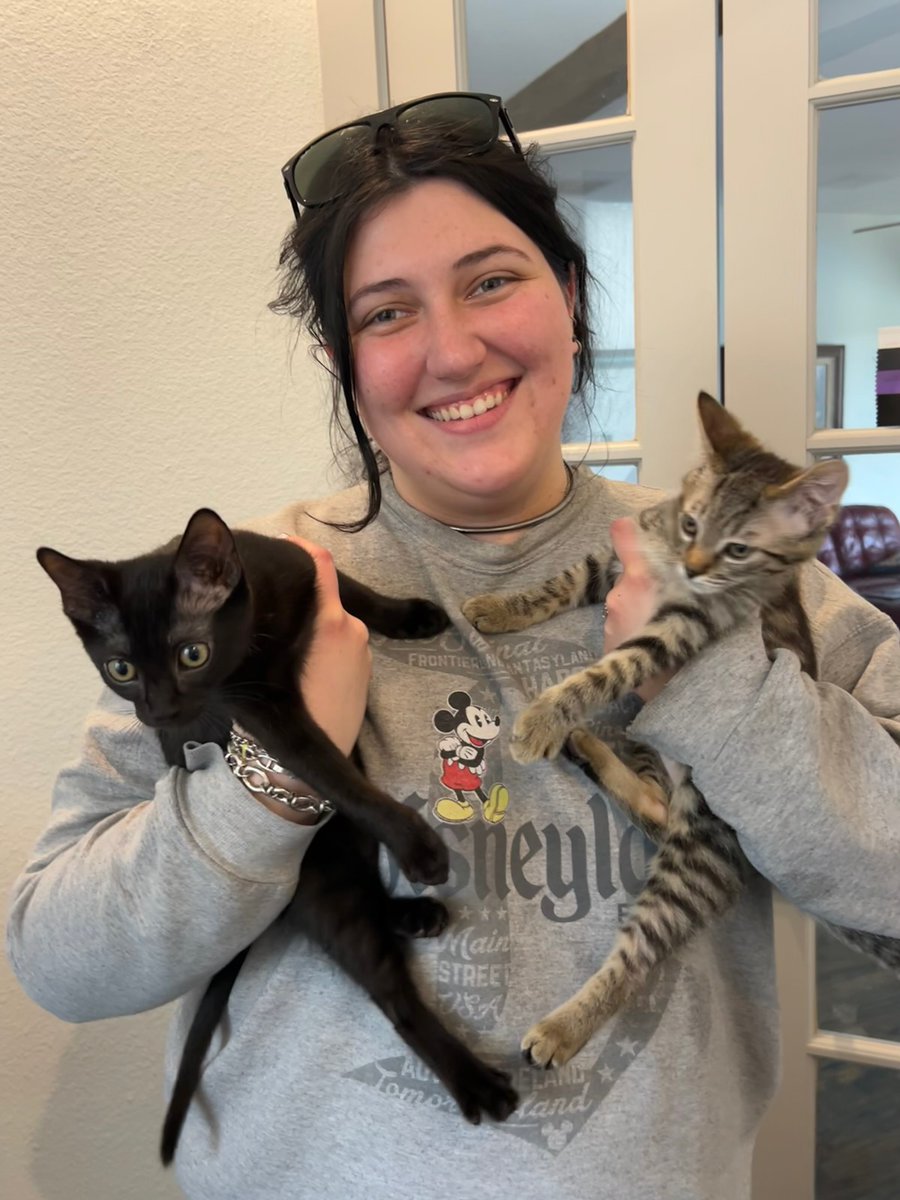 Cat Matchers tweet media