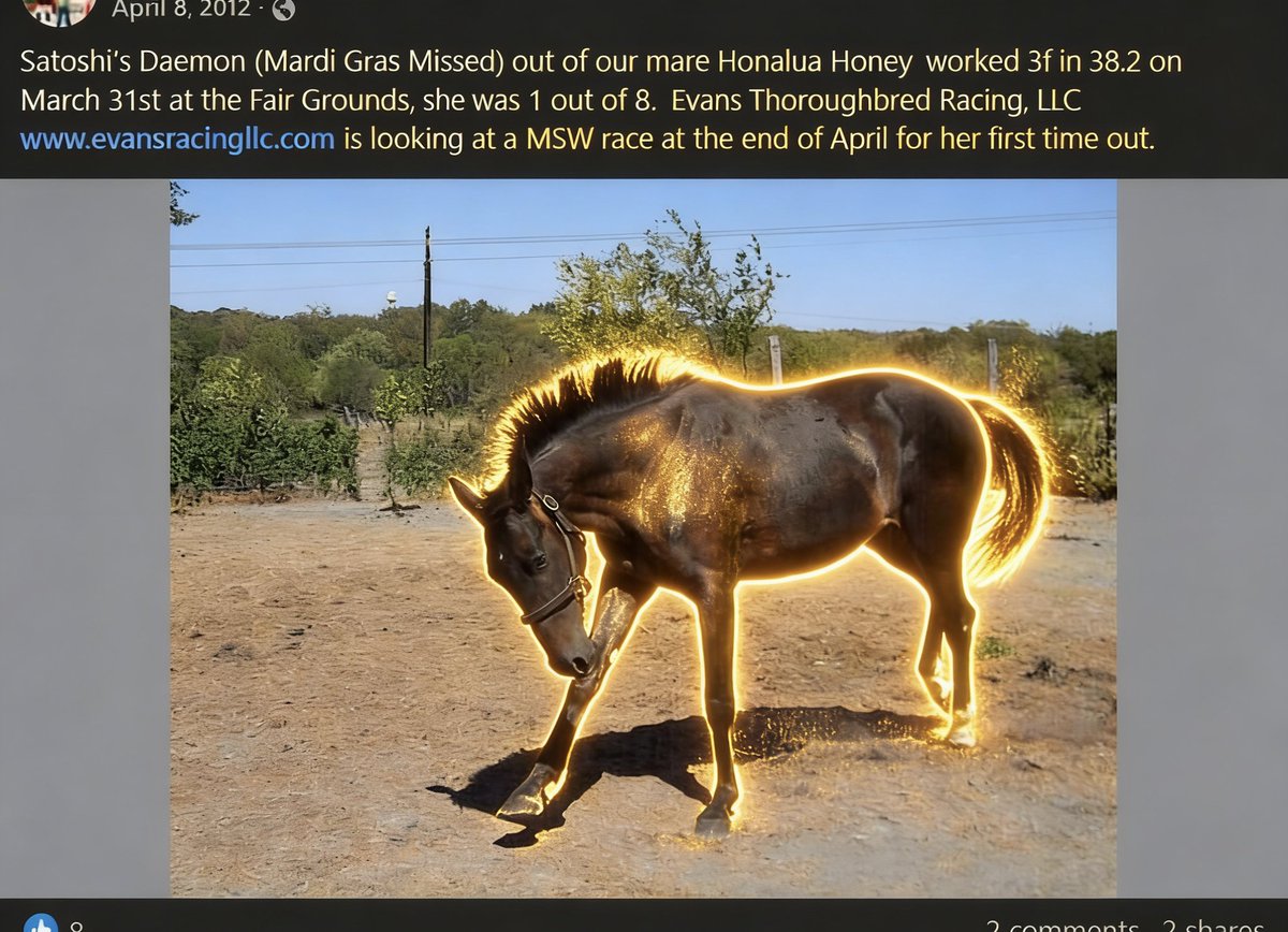 Satoshi's Daemon – Bitcoin’s First “Community Racehorse”
In 2009, the same year Bitcoin was born, a dark bay mare was foaled in Louisiana named Satoshi's Daemon.
In 2011, when Bitcoin was still worth just a few dollars, early crypto enthusiasts launched one of the wildest