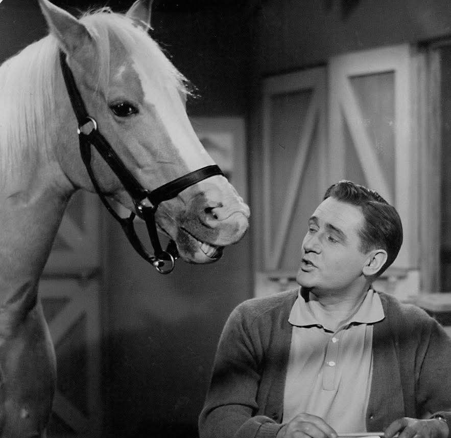 Johnny Cadillac tweet media