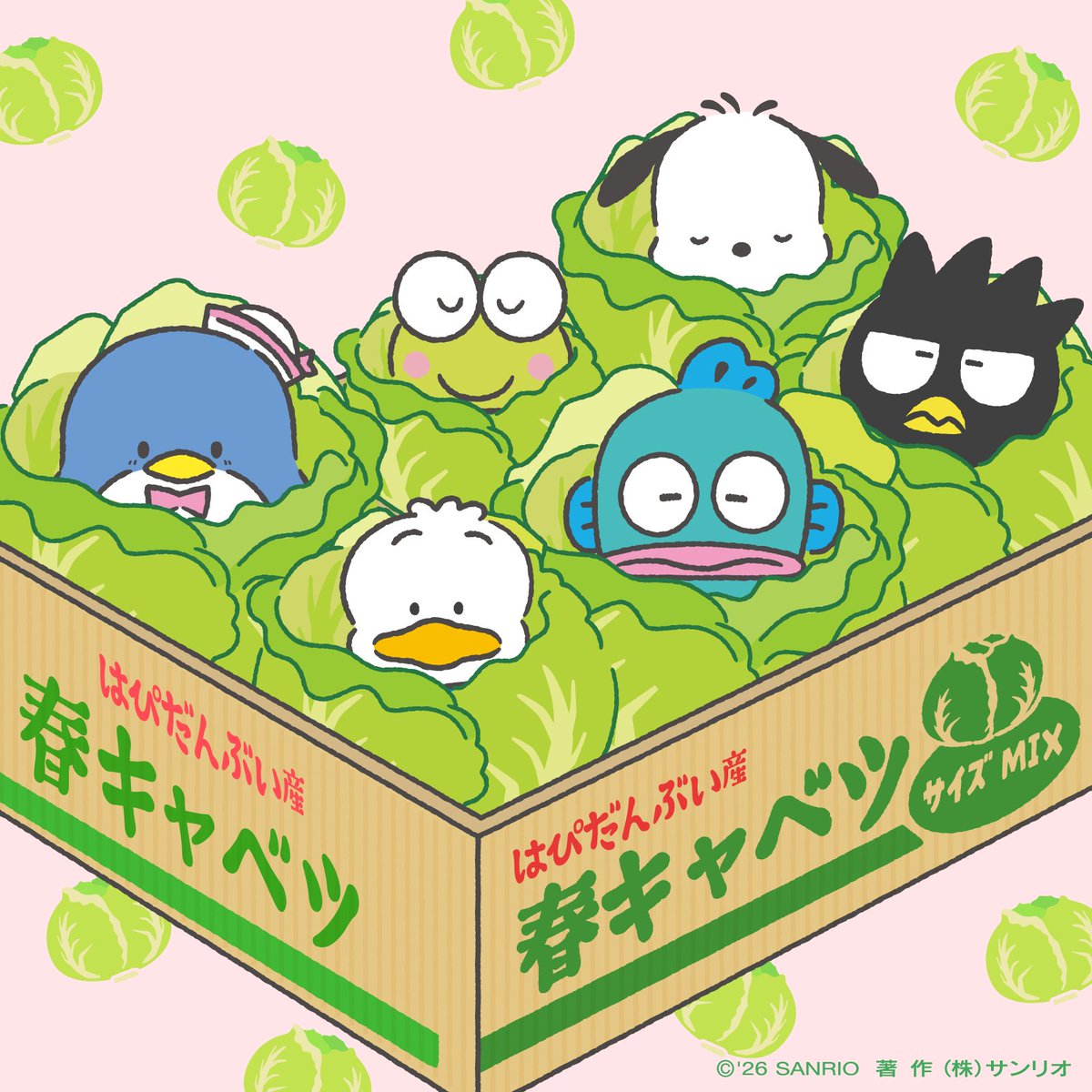 みんな「やわらかい… 」