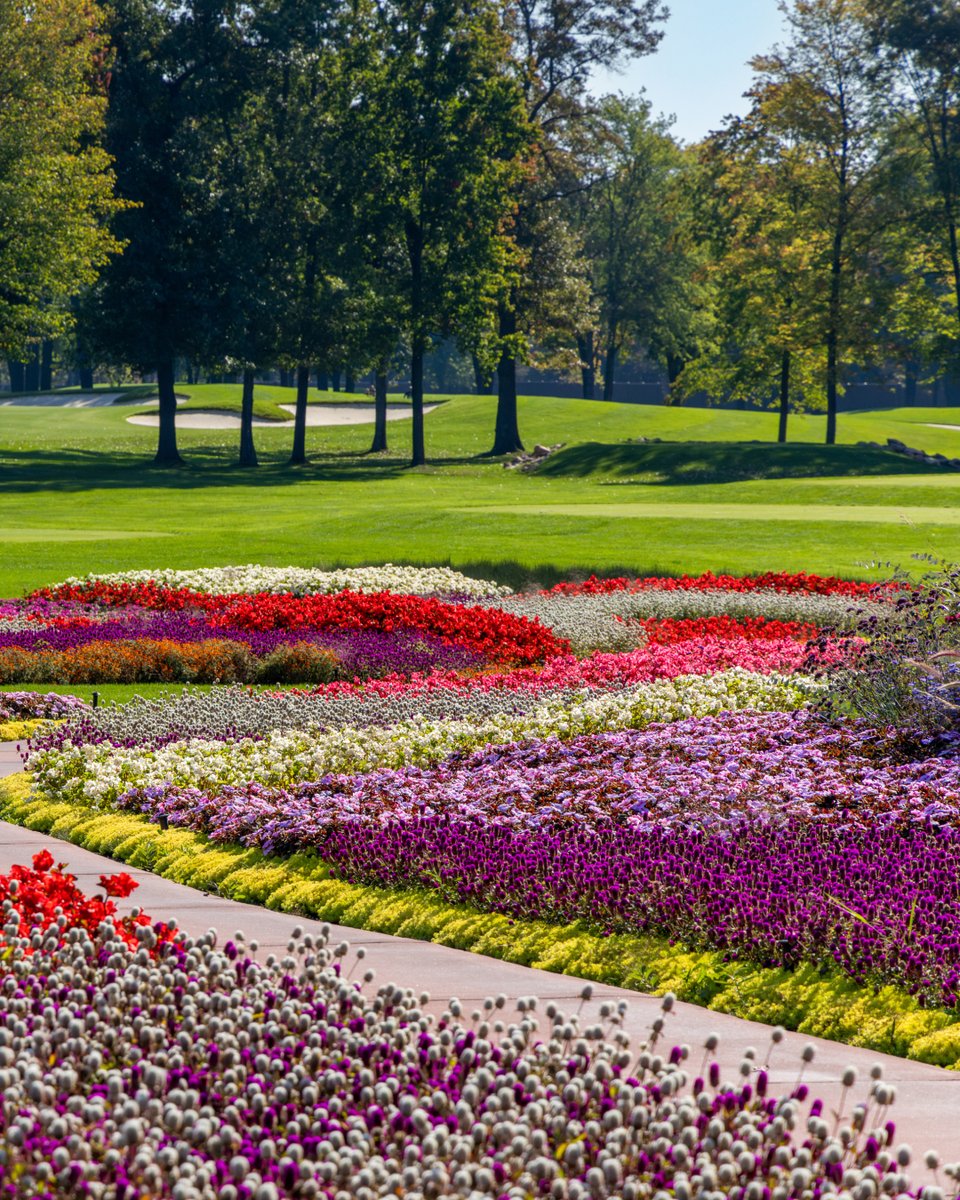 SentryWorld tweet media