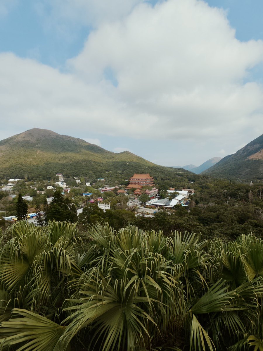 Marco D'Elia tweet media