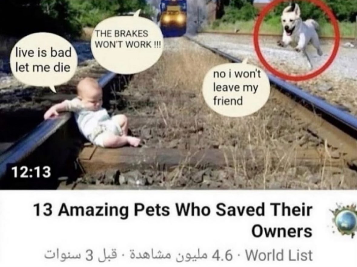 amanda 🦭 tweet media