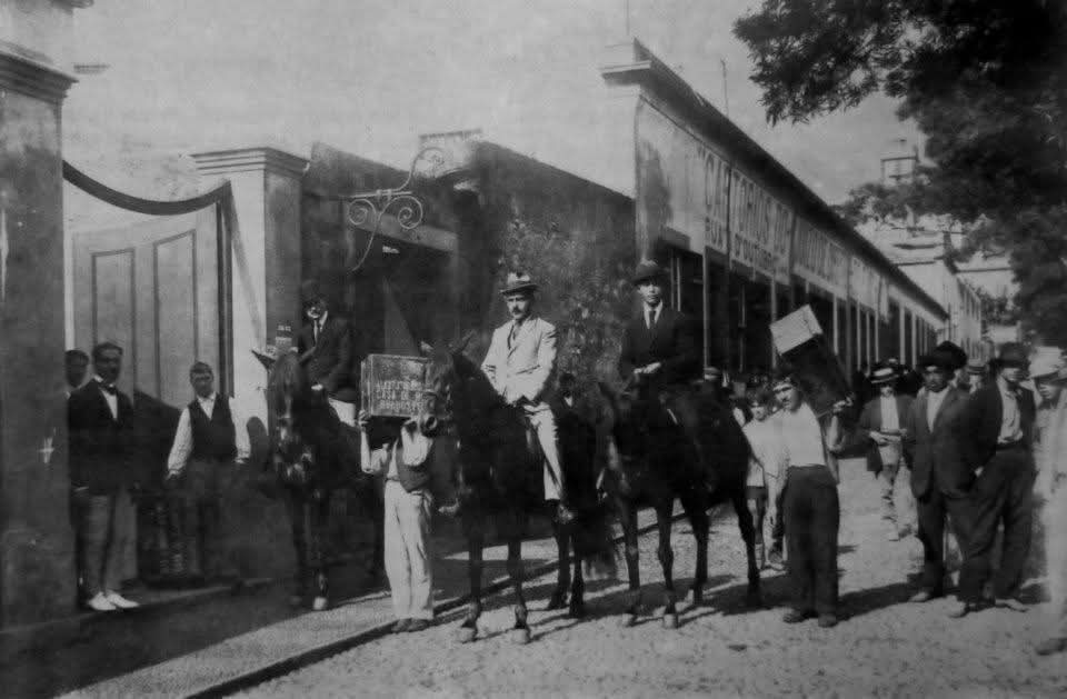 Madeira Island / Ilha da Madeira tweet media