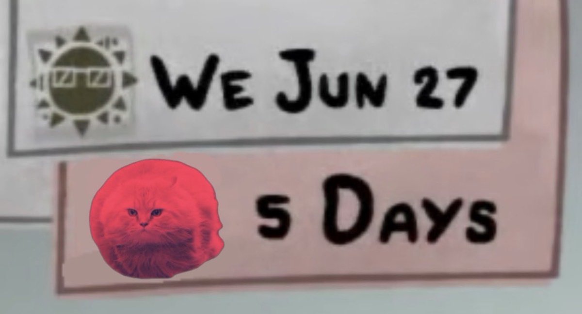 GabberCatClubOFFICAIL tweet media