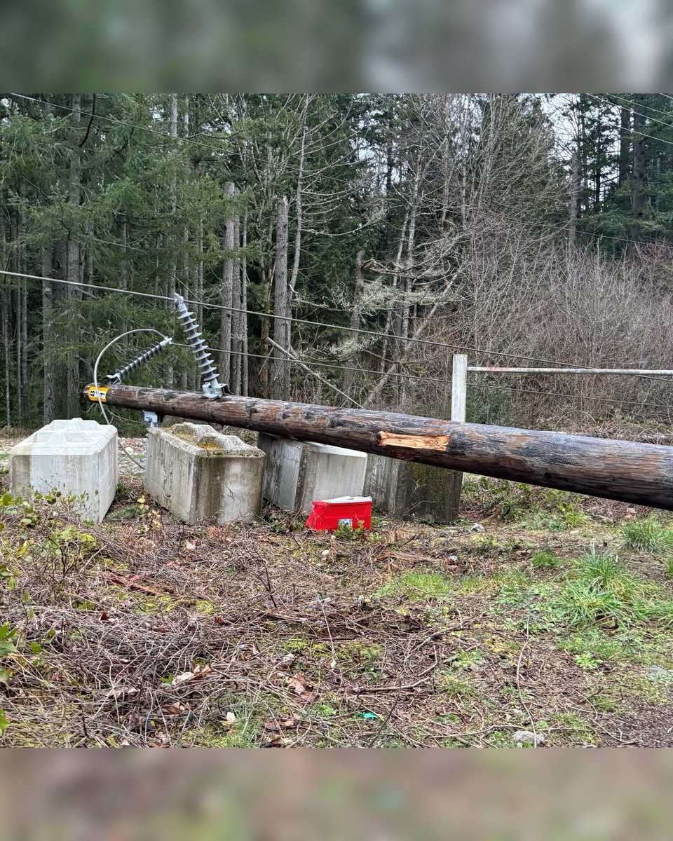 Puget Sound Energy tweet media