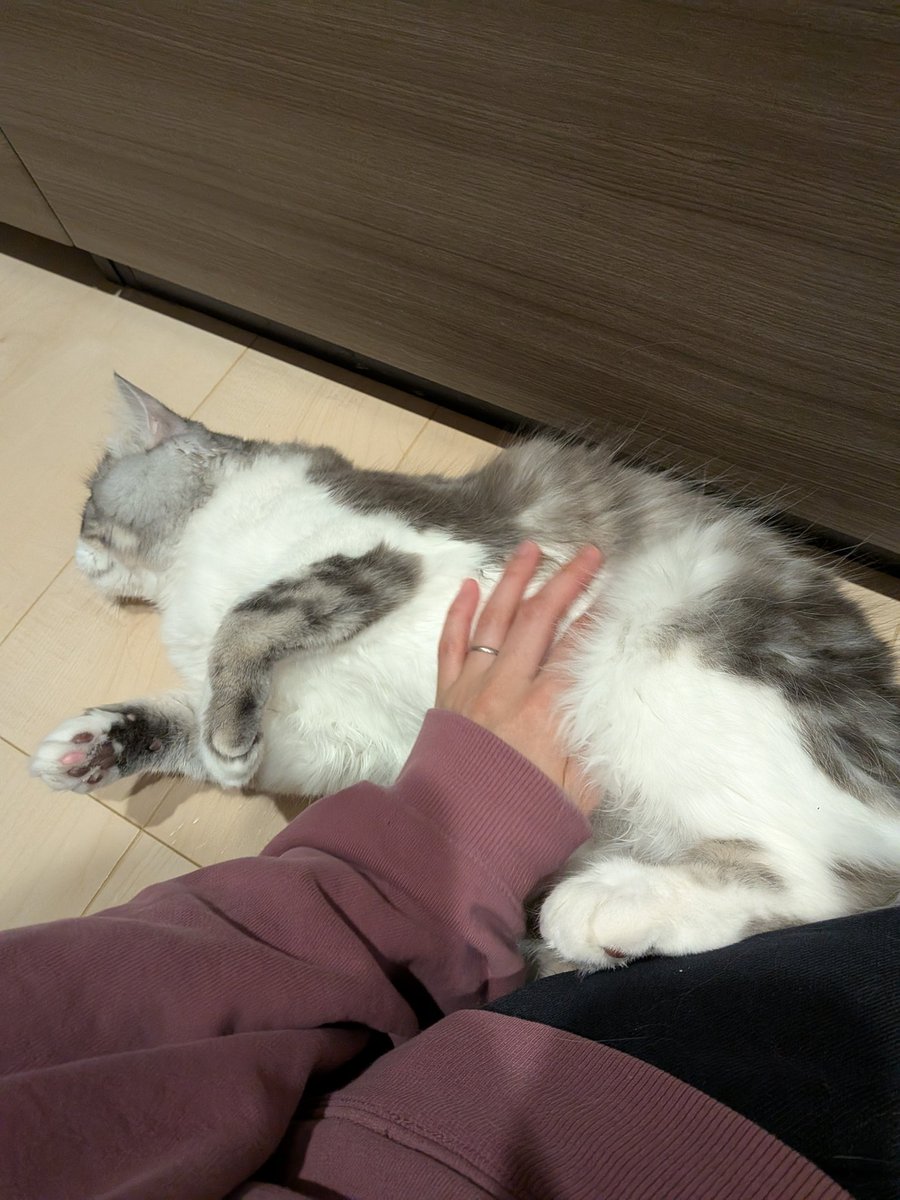 はるちゃん𓂃𓂂ꕤ*.゚☺︎ tweet media