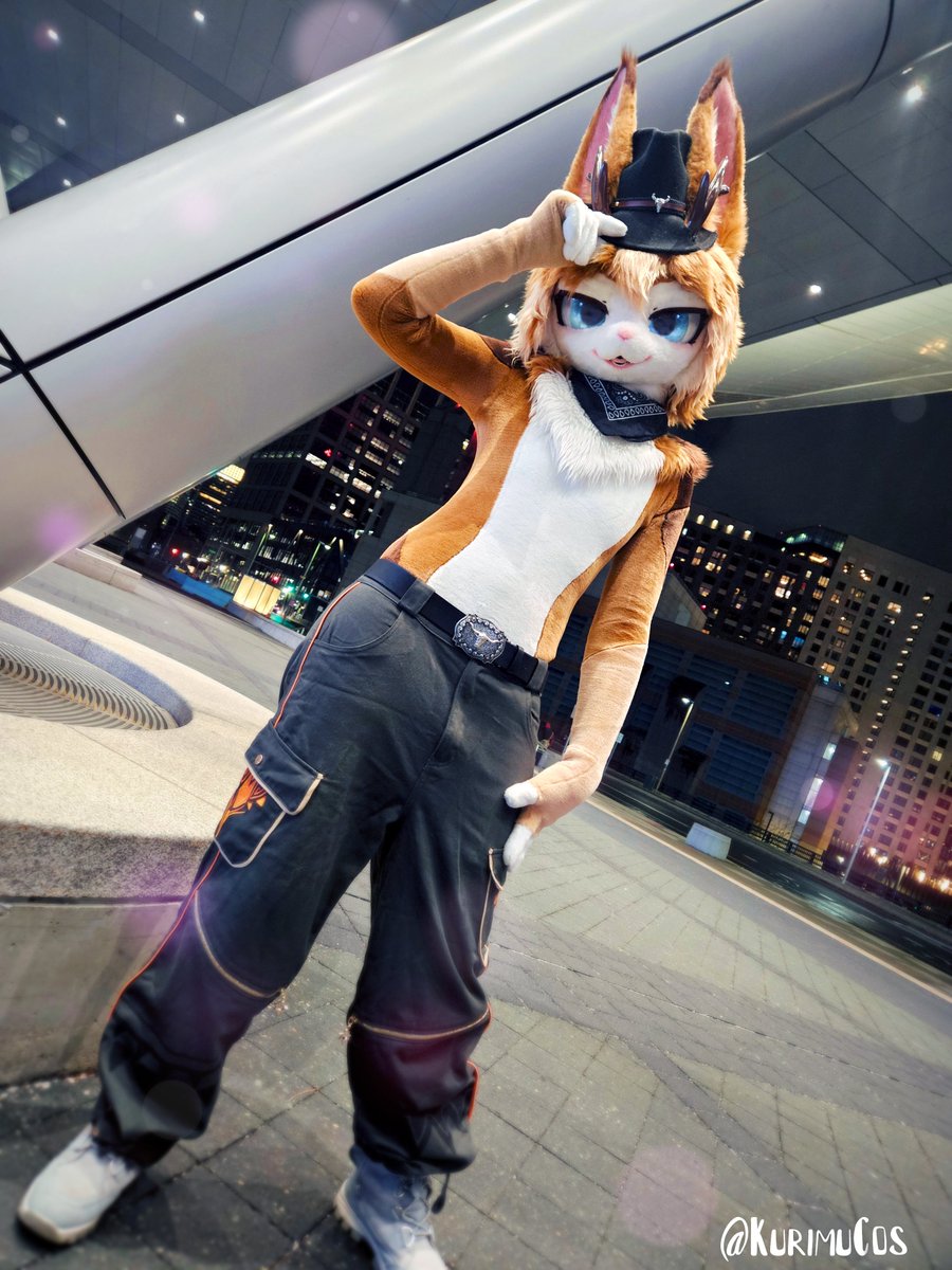 Kitten & Yuki tweet media