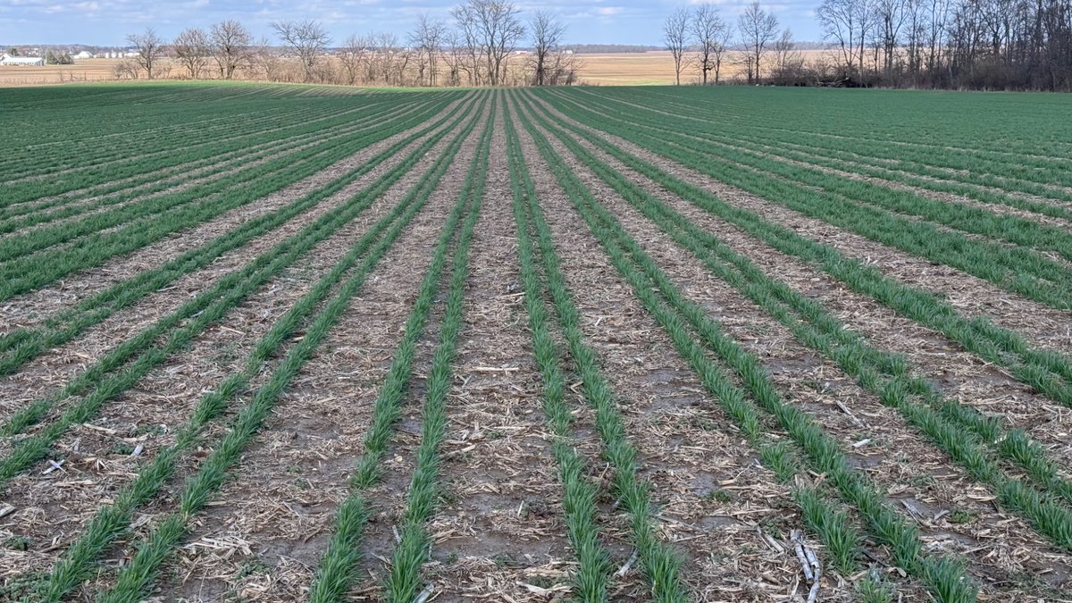 dog_ag's tweet photo. Am I doing this right? Relay what is growing. Now just have to get some beans planted in the slots.  #farmweird https://t.co/QVAzwu2bXC