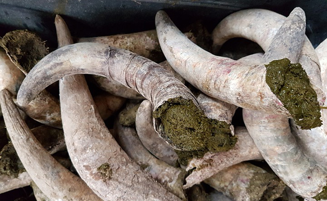 Eric Dutin tweet media