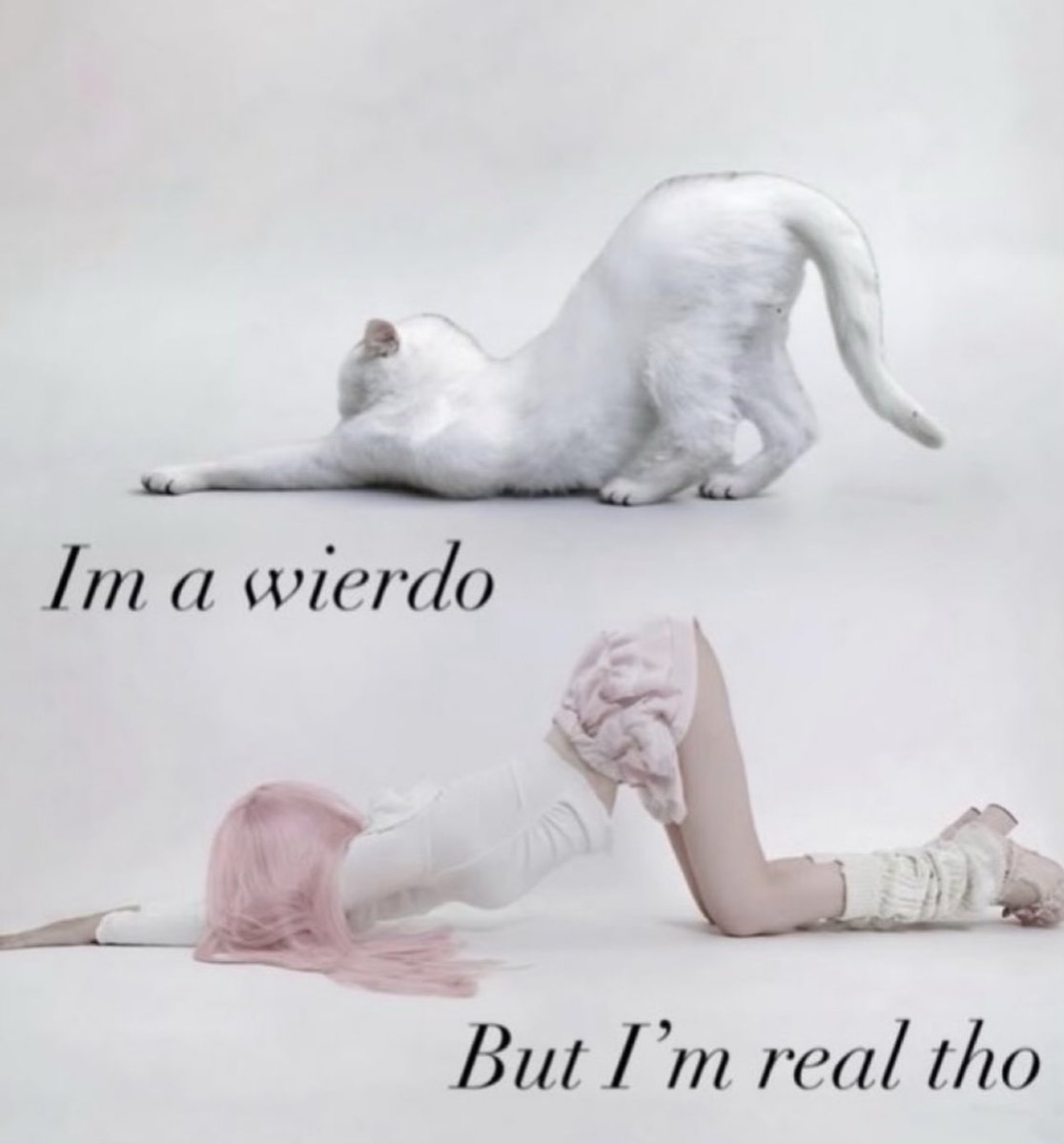 ★？♡ ✚！ tweet media