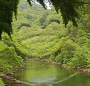 𝔪𝔦𝔨𝔲 tweet media