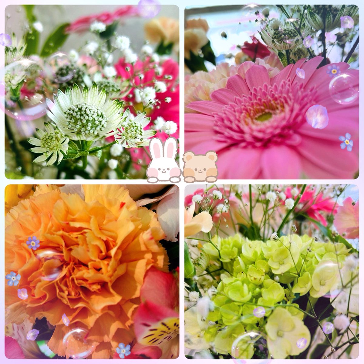 .
遠い記憶の
はずなのに

私の記憶の中の
きみはいまも
あの日のままです

お元気ですか！

✩⡱金曜日．．．。yuria..𖧧*
＃Love感謝しかないです
＃行きつけの歯科医のお花🌸