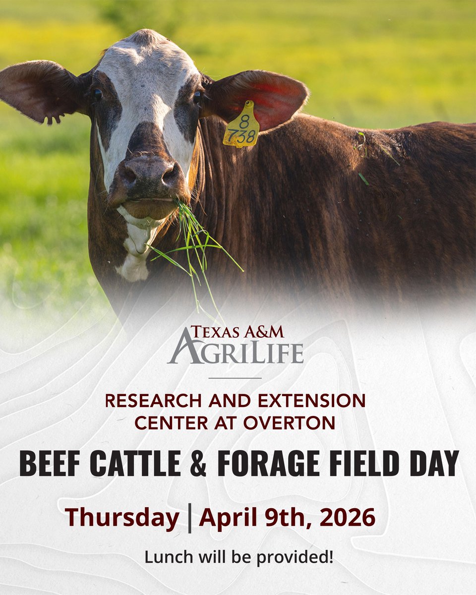 Texas A&M AgriLife Extension Service tweet media