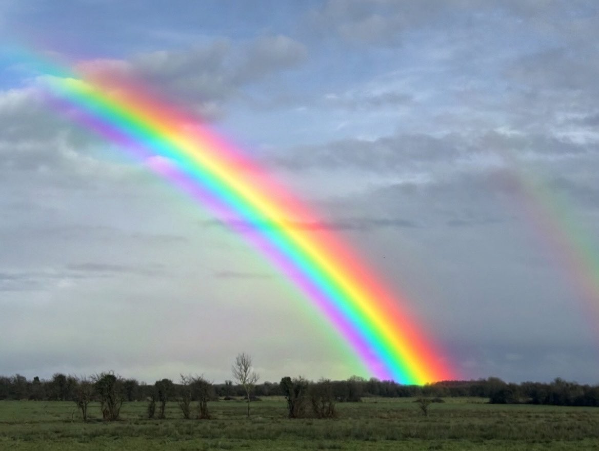 Steven morgan tweet media