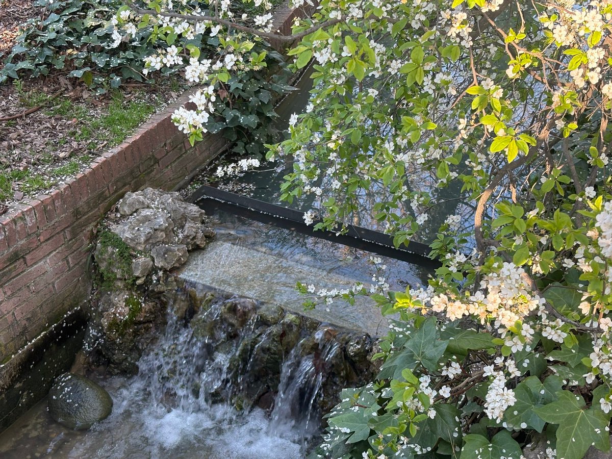 korawmi's tweet photo. El día más lindo https://t.co/jINXuCgDFq