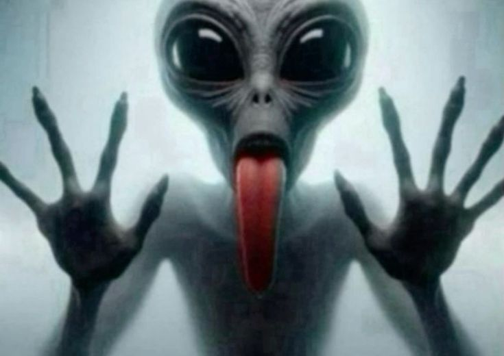 Vanitas 🥀🇵🇸 tweet media