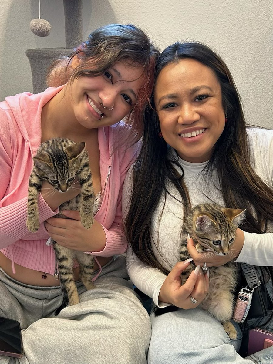 Cat Matchers tweet media