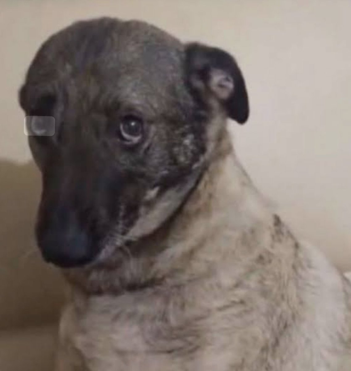 O sırada bizim eşgal