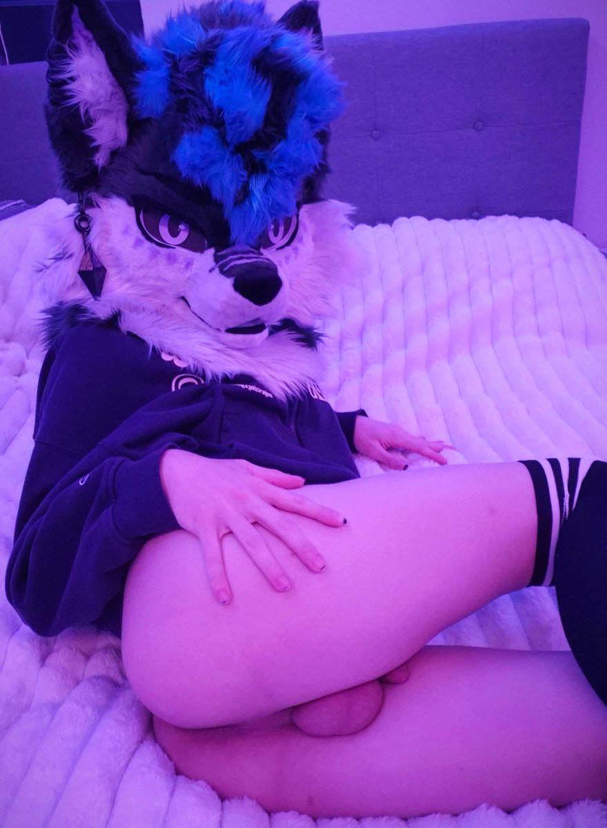 Cinful Tigerfops 🔜 TFF tweet media