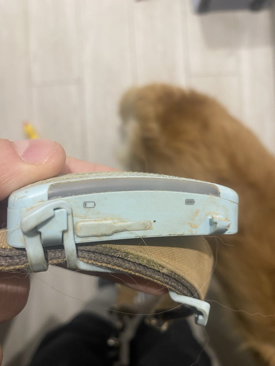villaspace's tweet photo. @Tractive un perro en sus primeros 4 años no rompe su primer #tractive le llega el segundo y le dura 5 meses… por lo visto la calidad ha caído, por supuesto desde la app no se pueden enviar las fotos para reclamar nada… https://t.co/E9LoK1hnEZ