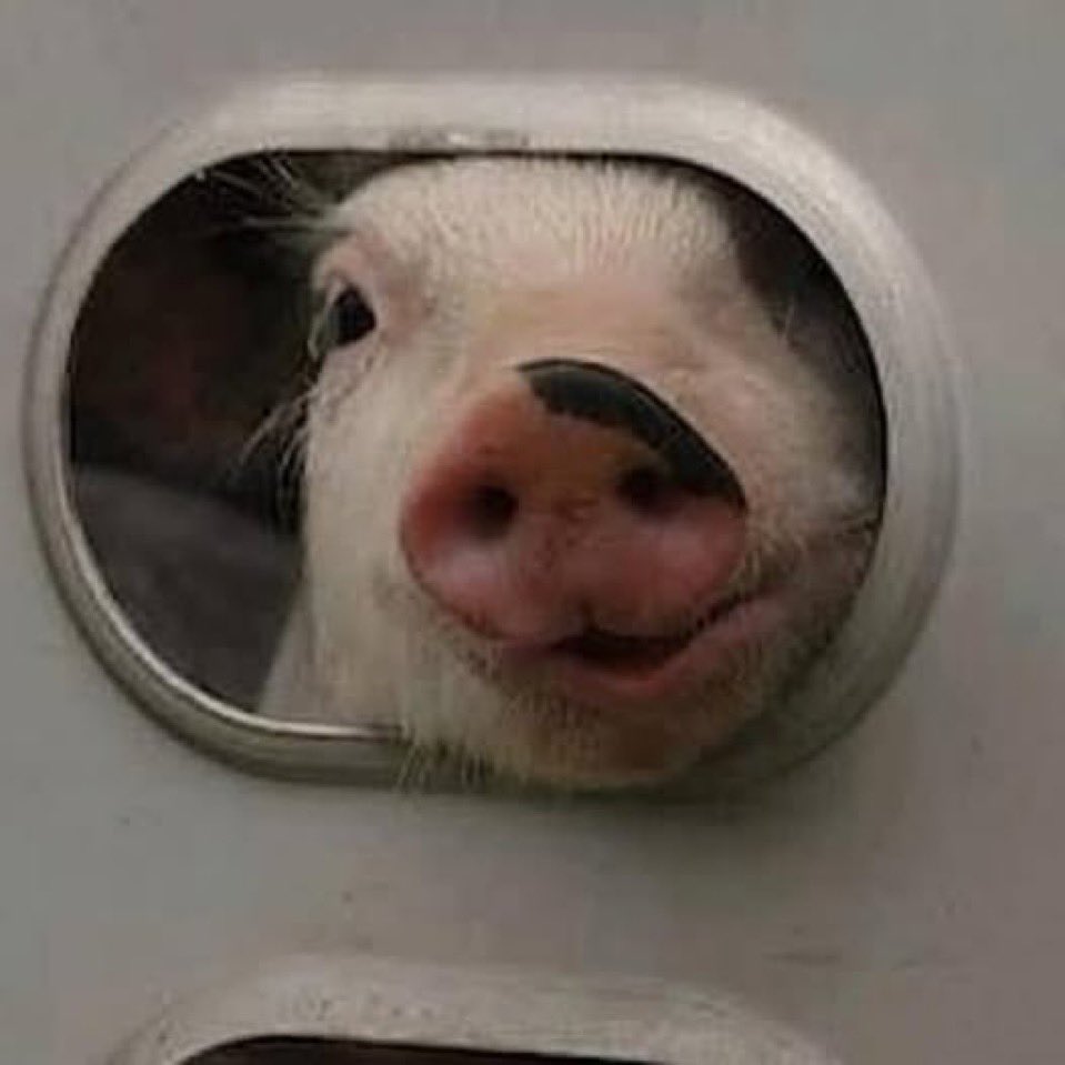 Sharath Prabhu tweet media