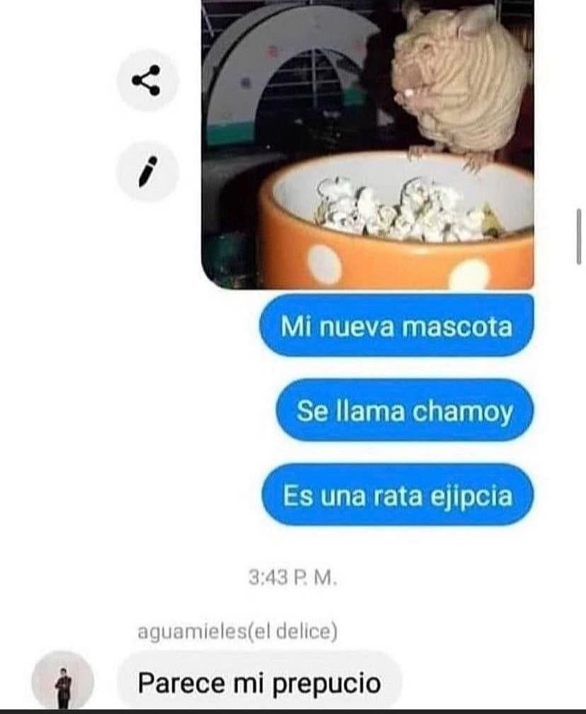 RIP UNICLUB 16/08 (@maxi1901_) on Twitter photo 