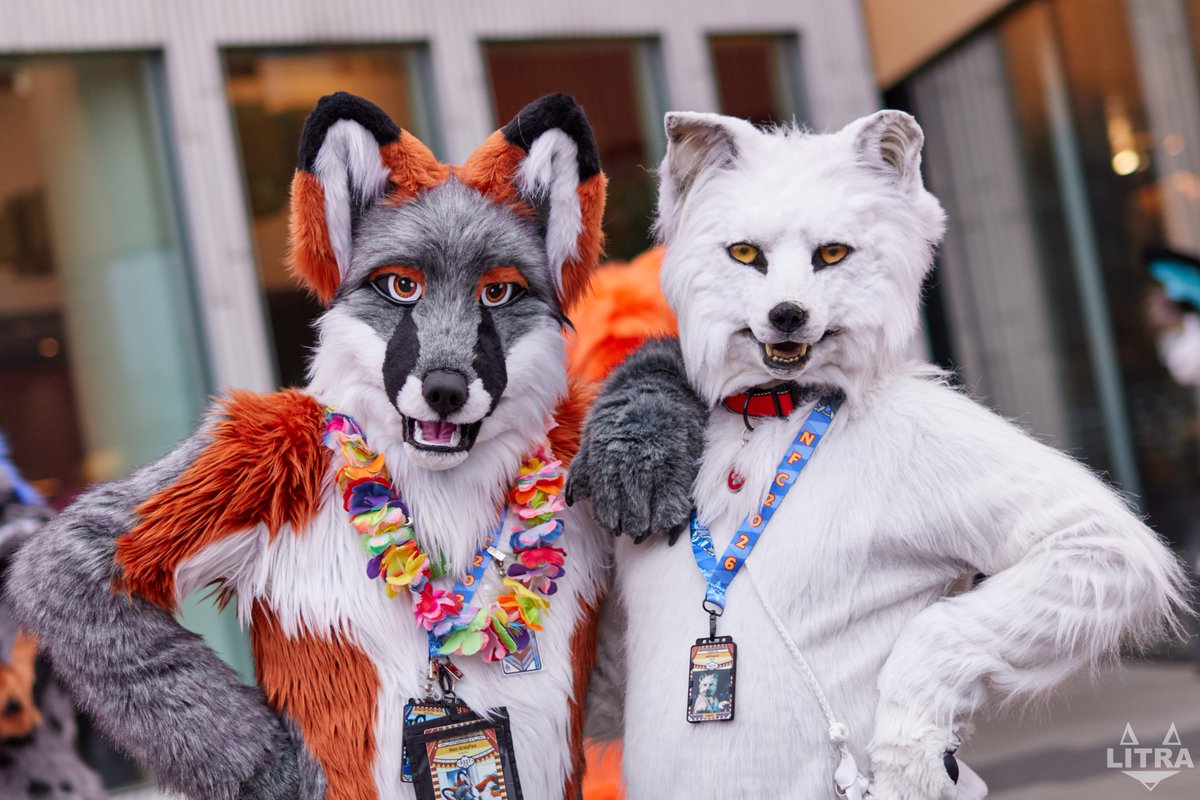 BerkWolf's tweet photo. Happy #FursuitFriday in my @witlupus suit

✂️ @CopperSprite
🦊✂️ #reograyfox
📸 @LitraFox
📅18.02.2026
🏨 @Clarion_Live
🌆 #Malmö 🇸🇪
🎉 @NordicFuzzCon

#NordicFuzzCon #NFC #NFC12 #NFC2026 #Fursuit #Furry #Berk #BerkWolf #Witlupus

Follow my Berk-News (TG):
https://t.co/AIwKf2hO05 https://t.co/6uautLvQ9R