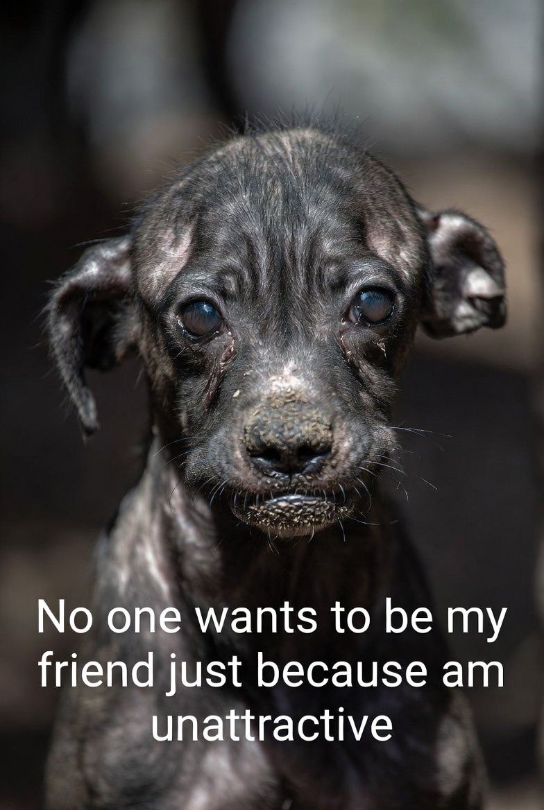 Beyond_theleash's tweet photo. https://t.co/1UJOdq8fKL