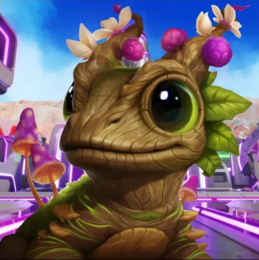 tholky.eth♊ tweet media