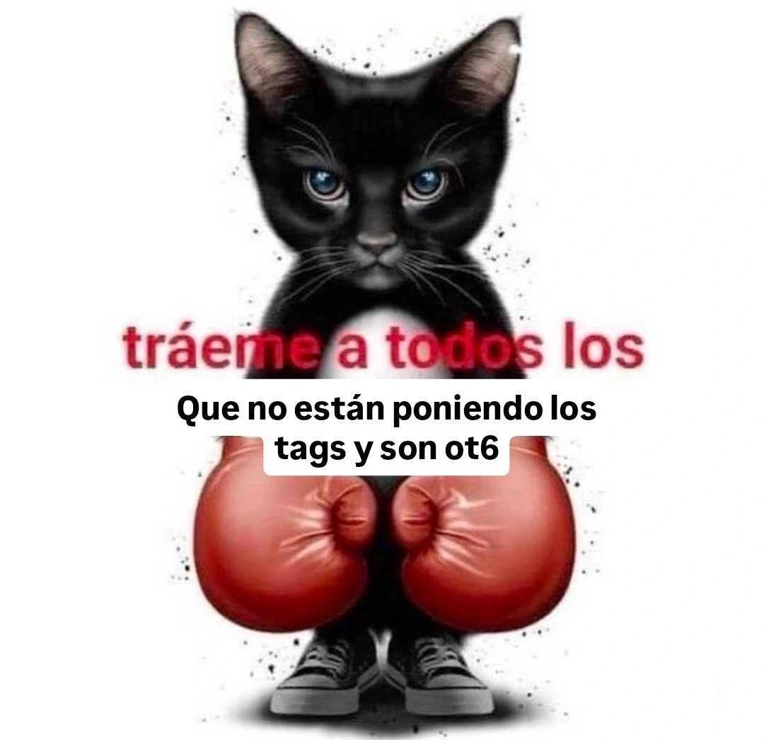 ENHYPEN IS 7 tweet media