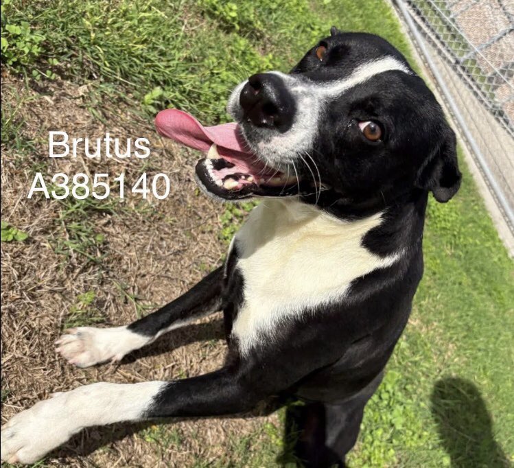 Olwyn Hope tweet media