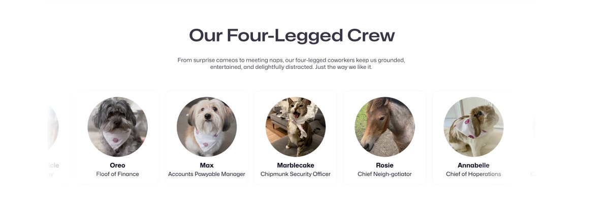 Arrey Codes tweet media