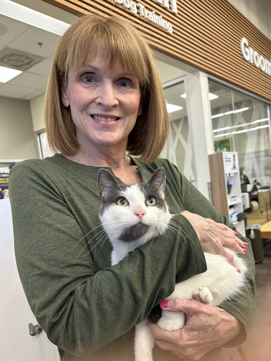 Cat Matchers tweet media