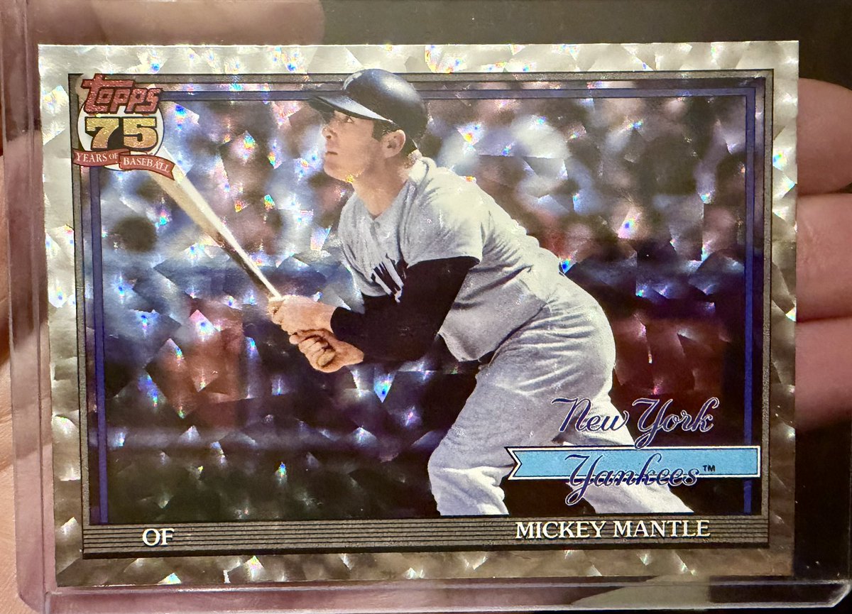 Holly Lin ⭕️ tweet media