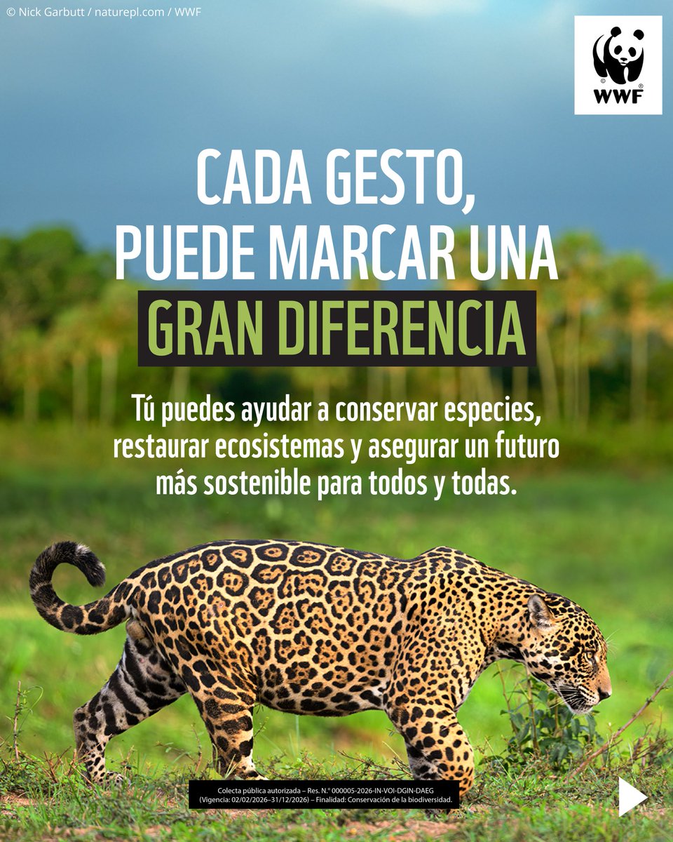 WWF Perú tweet media