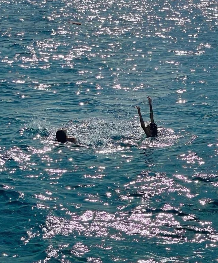 poetical photos. tweet media