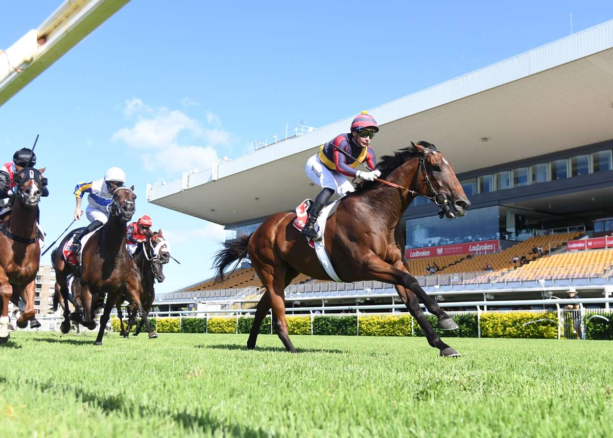 Michael Morrison Racing tweet media