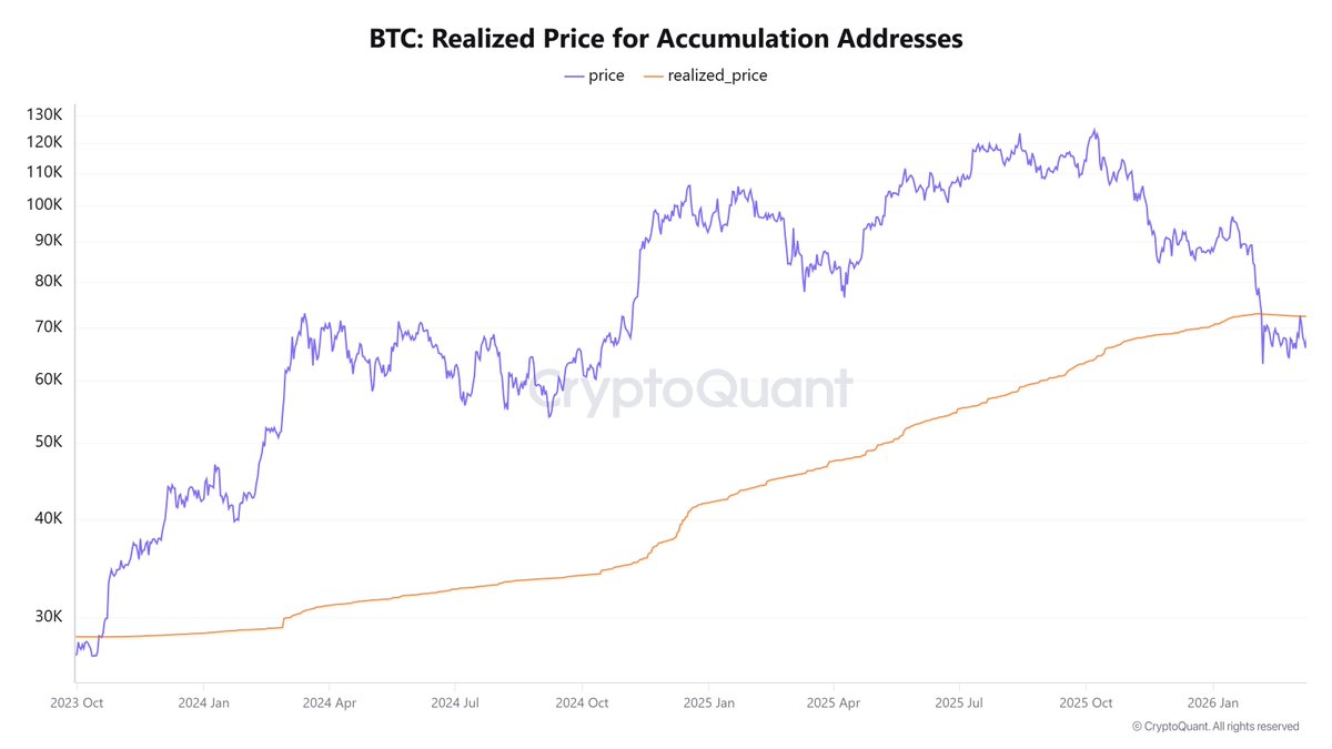 Burak Kesmeci tweet media