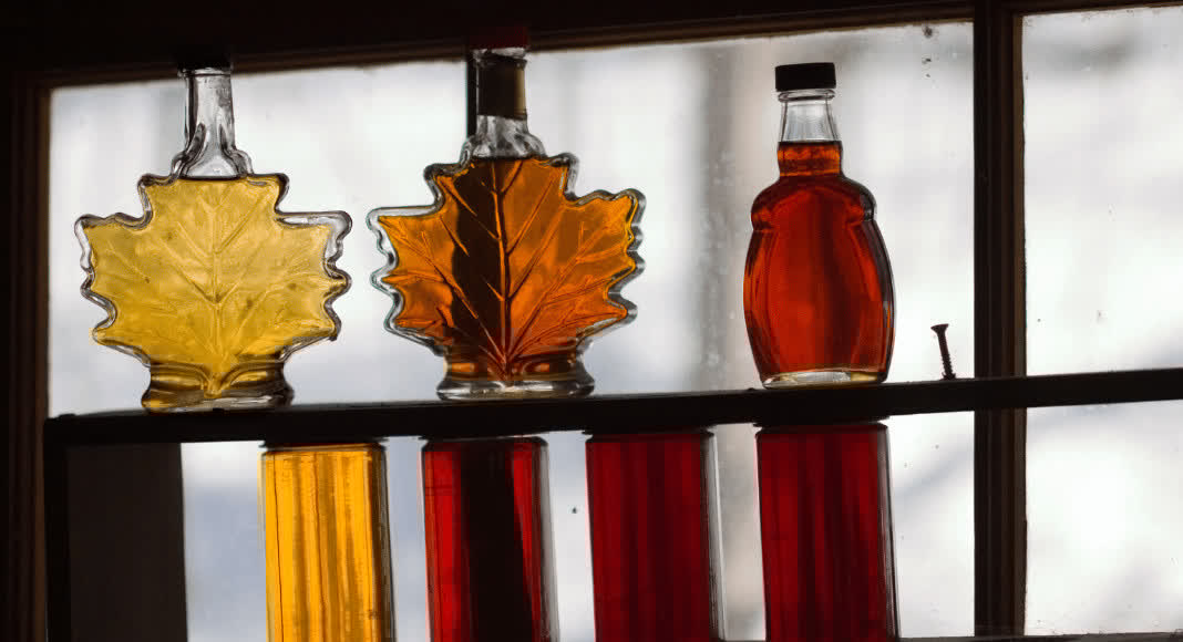 Vermont Mom tweet media