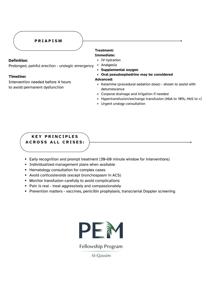 PEM fellowship | Qassim tweet media