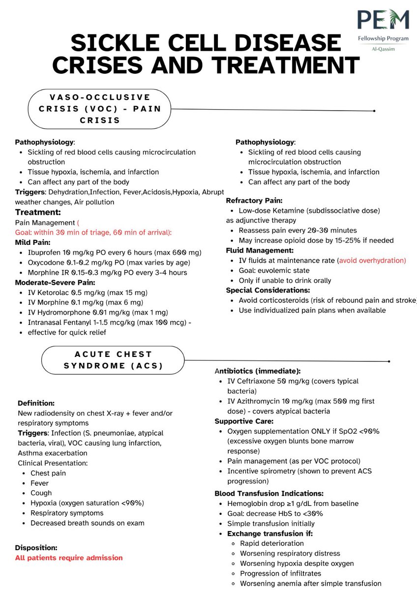 PEM fellowship | Qassim tweet media