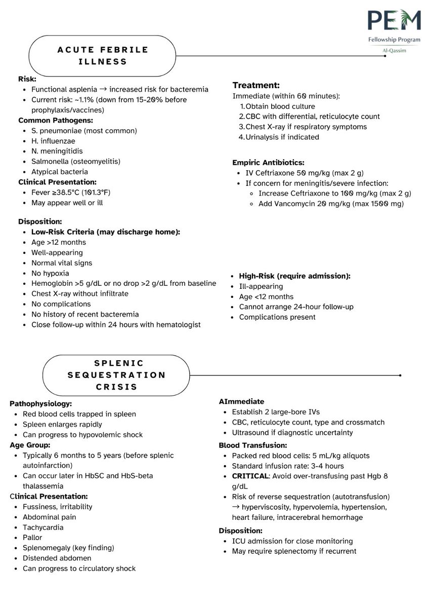 PEM fellowship | Qassim tweet media