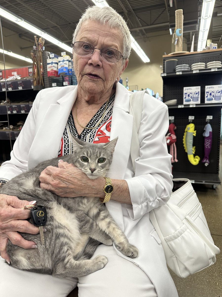 Cat Matchers tweet media